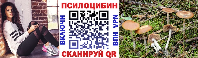 продажа наркотиков  Ялуторовск  kraken как зайти  Галлюциногенные грибы мухоморы 