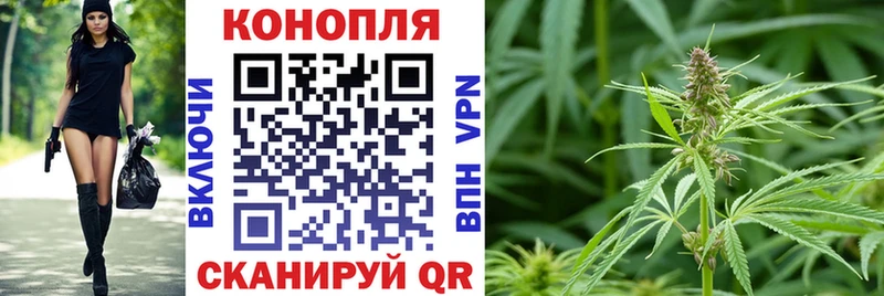 Канабис сатива Ялуторовск